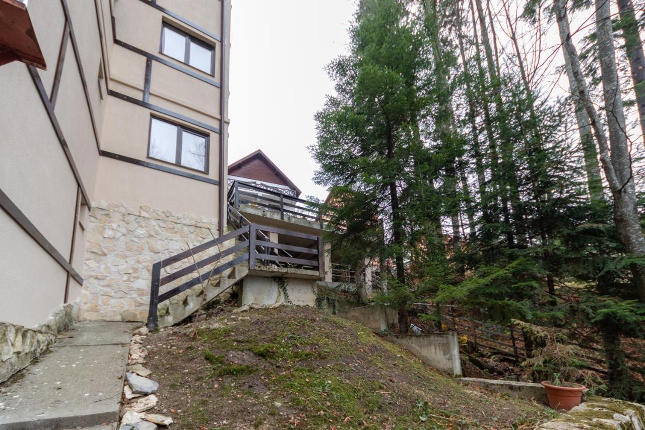 Pension Master Sinaia Exterior photo