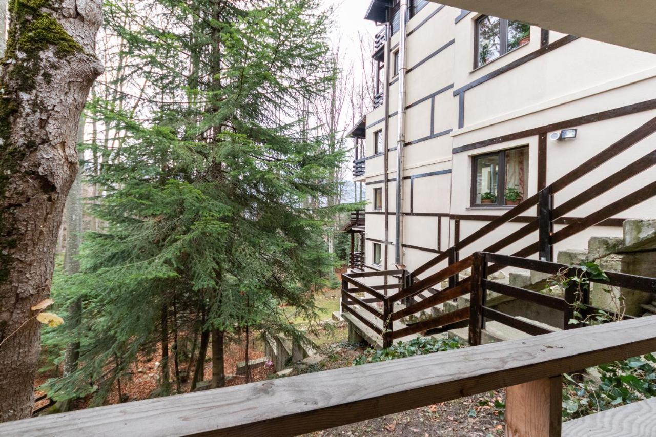 Pension Master Sinaia Exterior photo